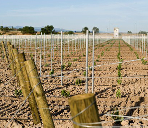 Alambres Galvanizados