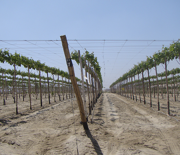 Alambres Acerado Galvanizado