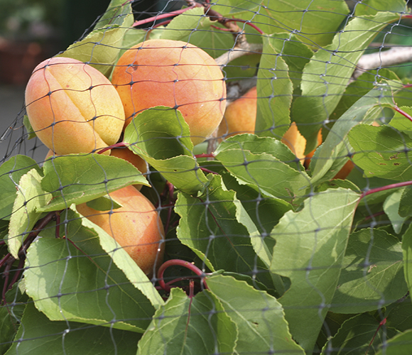 Antipájaro : Extruida