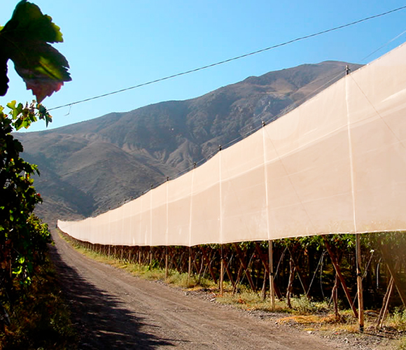 Corta Viento : Scirocco